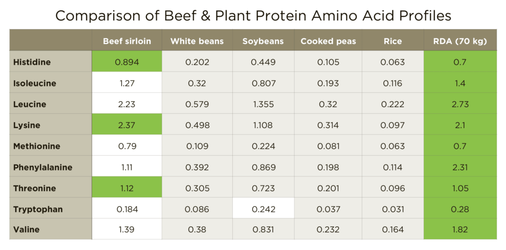 beef-vs-plant-protein-amino-acid-profile