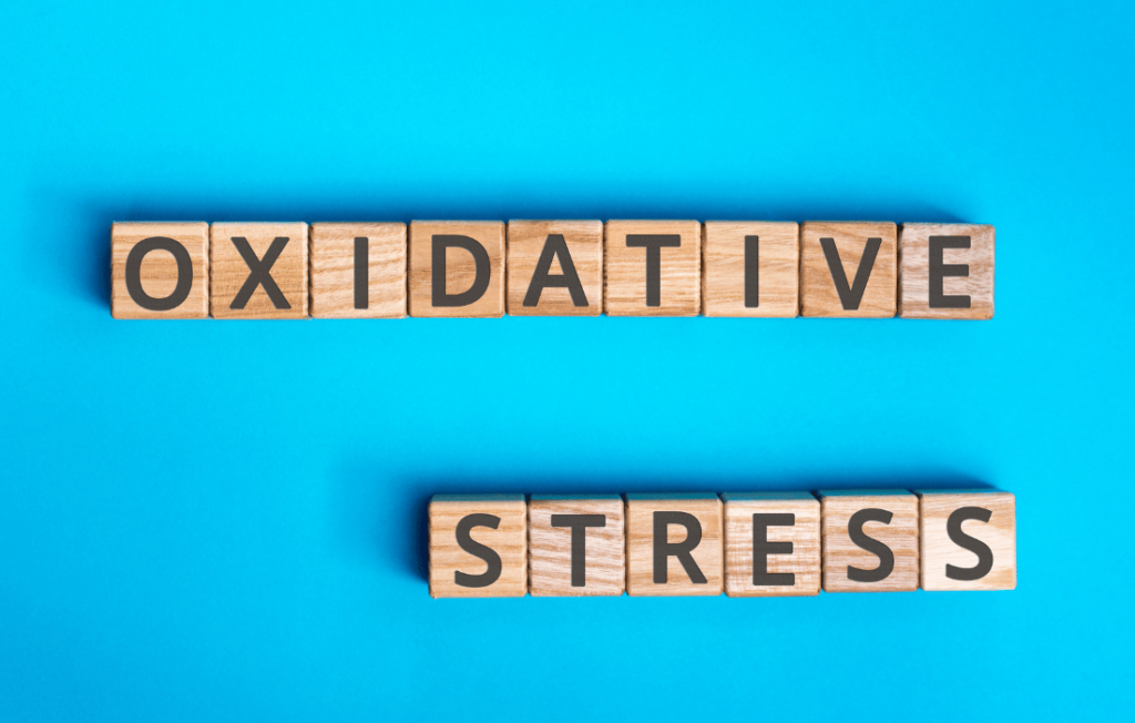 oxidative stress