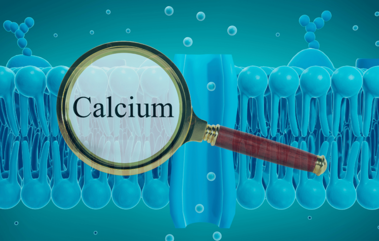 emf-disrupting-calcium-channels