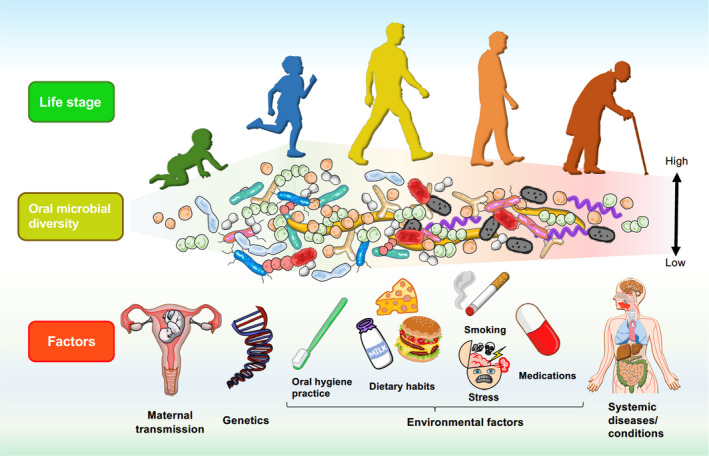 oral-microbiome